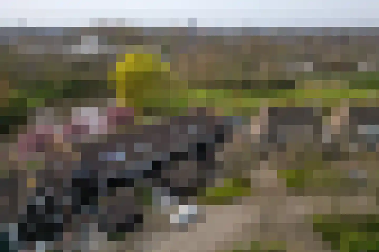 Hackfortstraat 36 Hellevoetsluis thumbnail 50