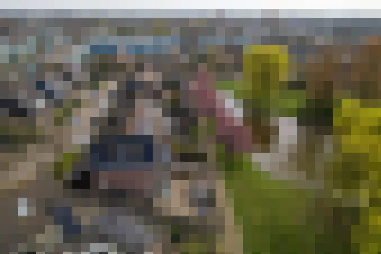 Hackfortstraat 36 Hellevoetsluis thumbnail 52