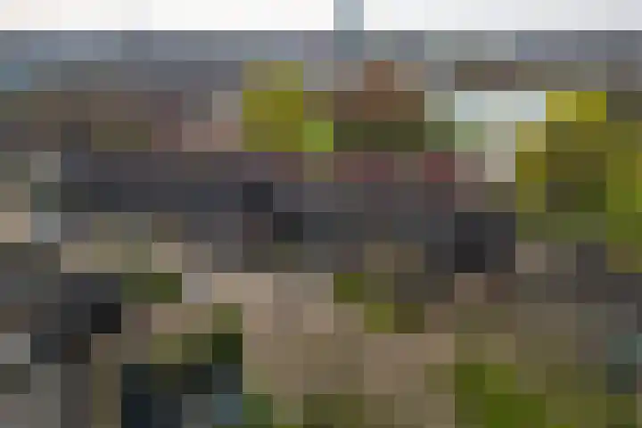 Hackfortstraat 36 Hellevoetsluis thumbnail 54