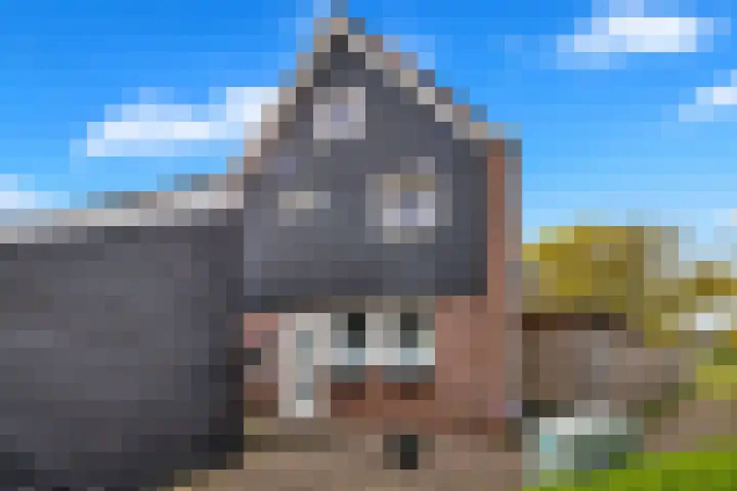 Hackfortstraat 36 Hellevoetsluis thumbnail 8
