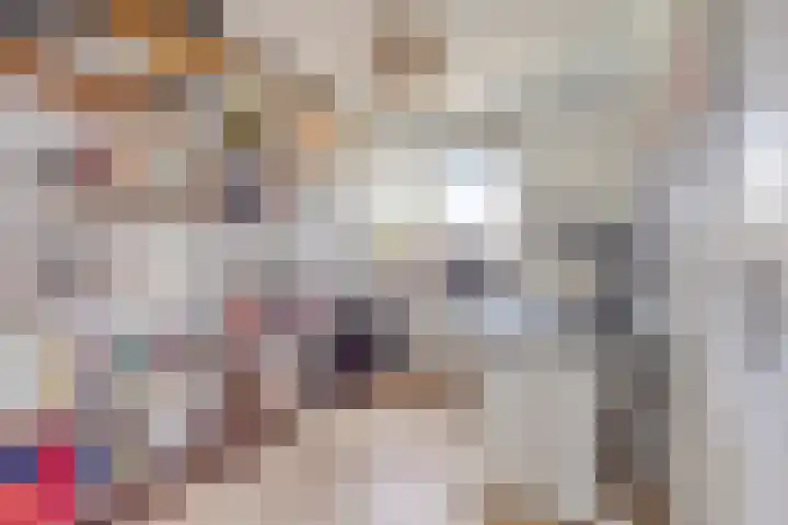 Hackfortstraat 7 Nijmegen thumbnail 15