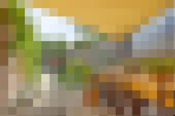 Hackfortstraat 7 Nijmegen thumbnail 17