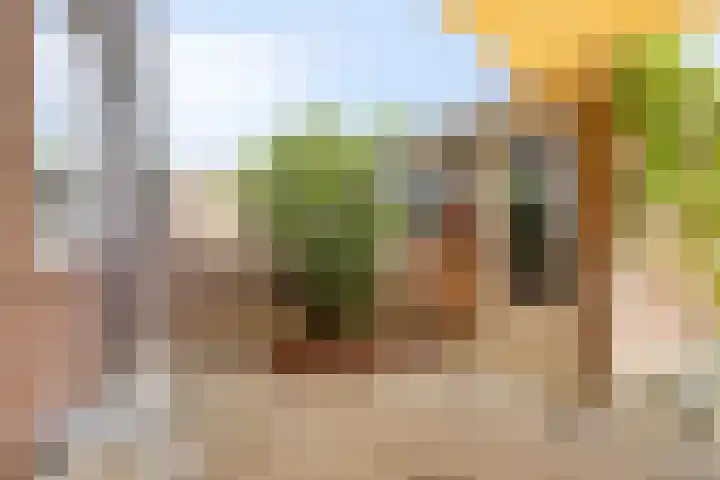 Hackfortstraat 7 Nijmegen thumbnail 19