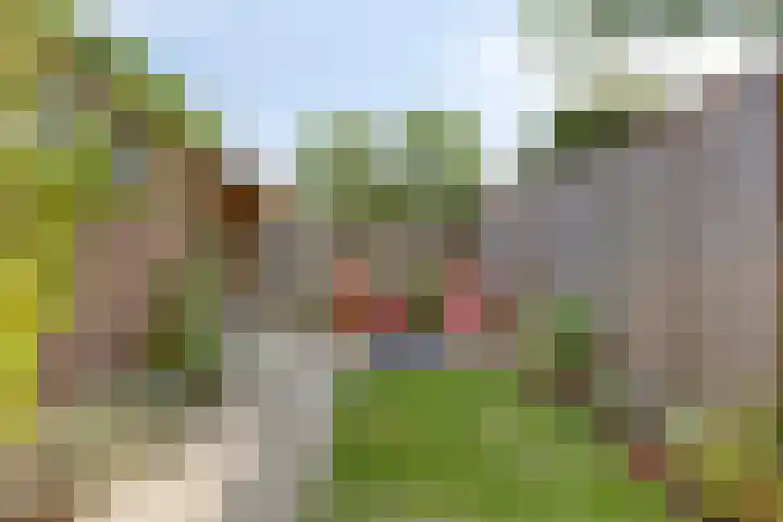 Hackfortstraat 7 Nijmegen thumbnail 20