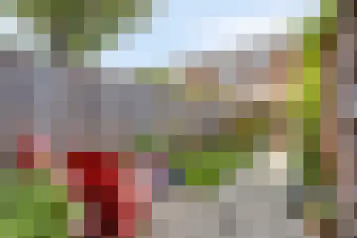 Hackfortstraat 7 Nijmegen thumbnail 21