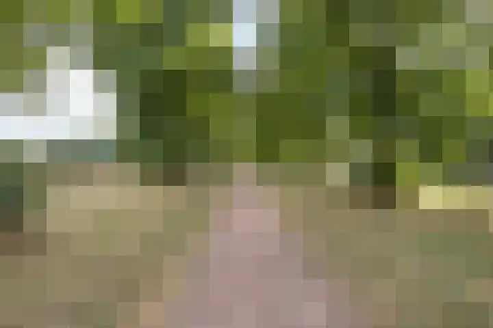 Hackfortstraat 7 Nijmegen thumbnail 24