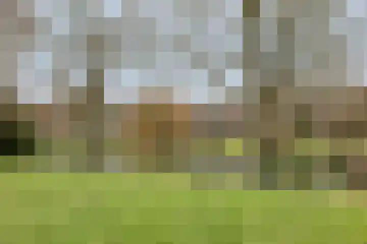 Hacquartstraat 24 Deventer thumbnail 32