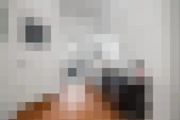 Hacquartstraat 26 H Amsterdam thumbnail 36