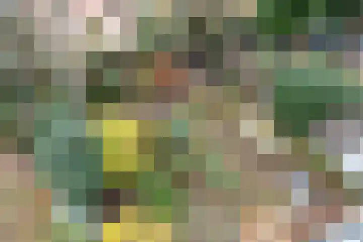 Hacquartstraat 26 H Amsterdam thumbnail 46