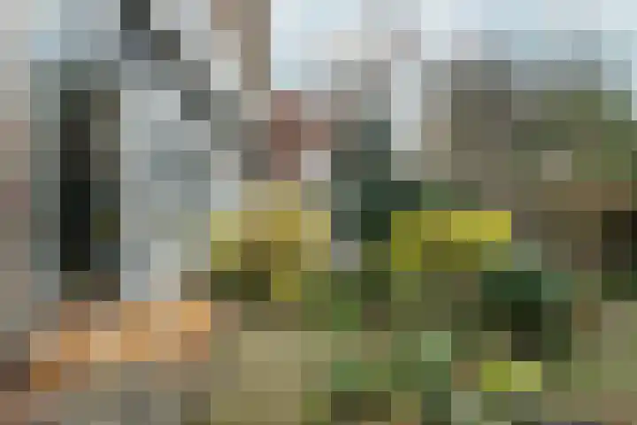 Hacquartstraat 26 H Amsterdam thumbnail 49