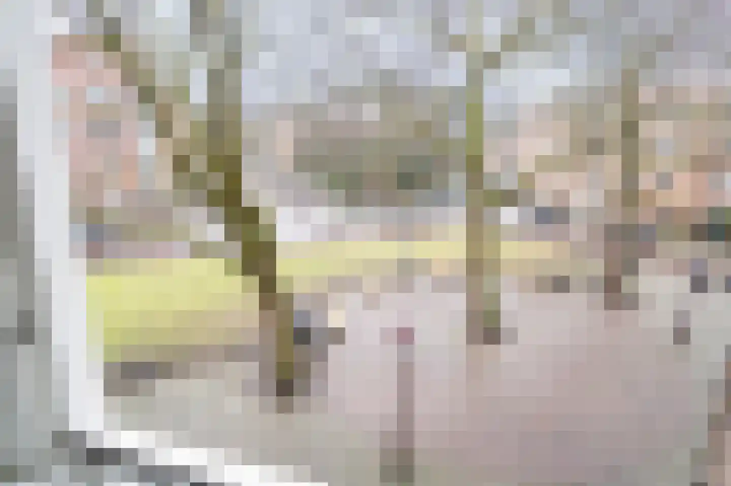 Hacquartstraat 3 2 Amsterdam thumbnail 9
