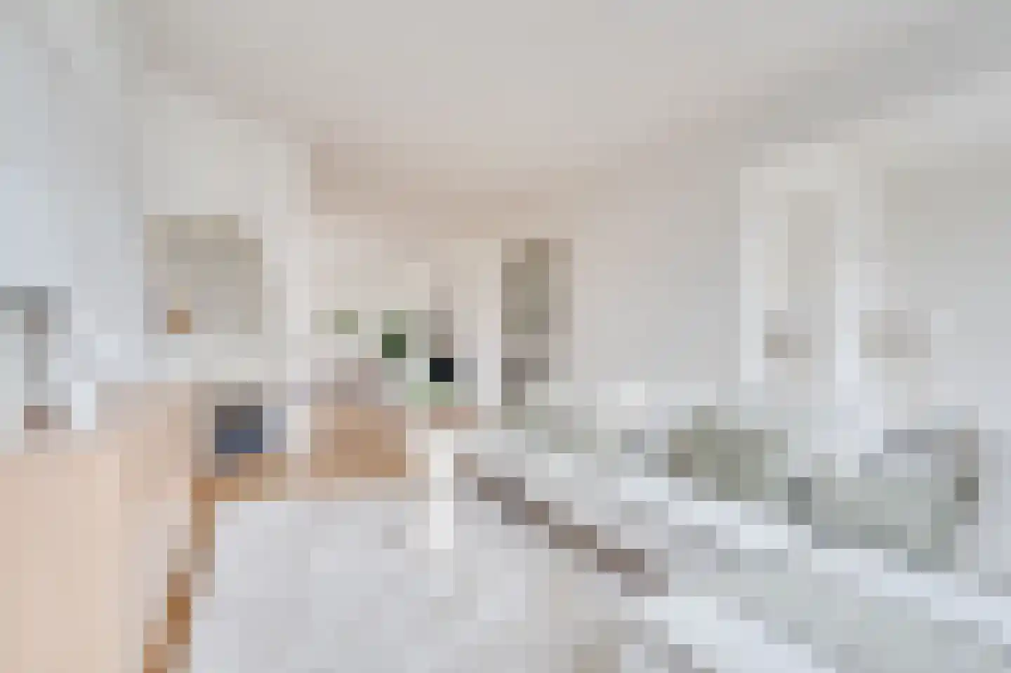 Hacquartstraat 3 H Amsterdam thumbnail 8