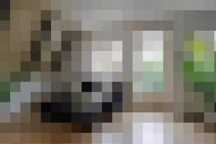Haddingestraat 15 b Groningen thumbnail 20