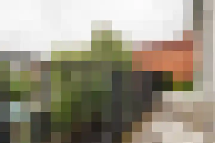 Haddingestraat 15 b Groningen thumbnail 24