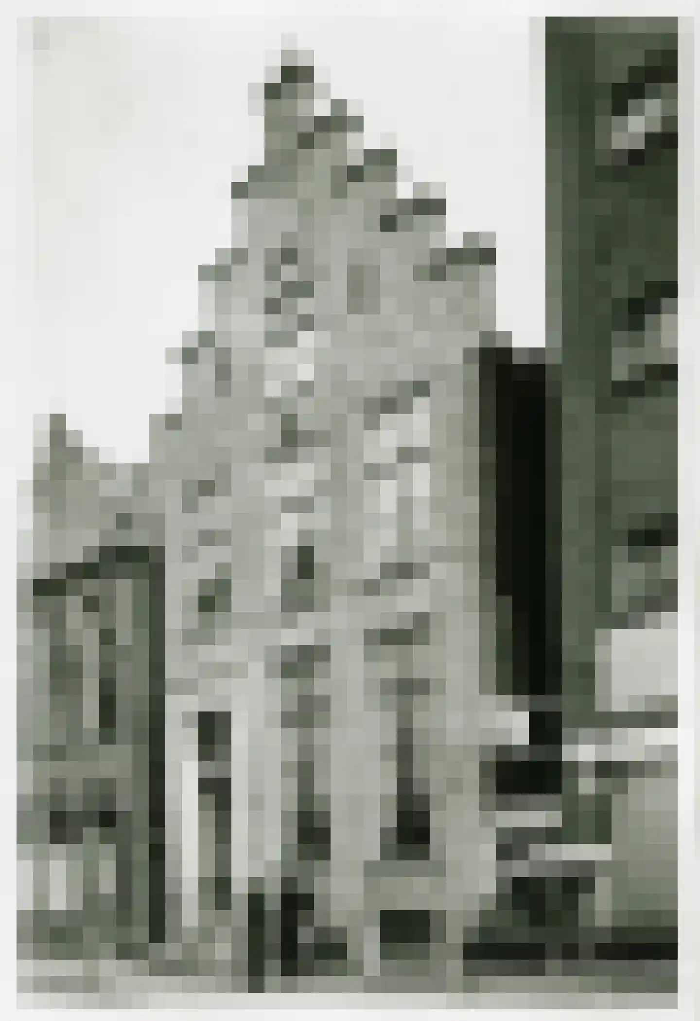 Haddingestraat 16 c Groningen thumbnail 10