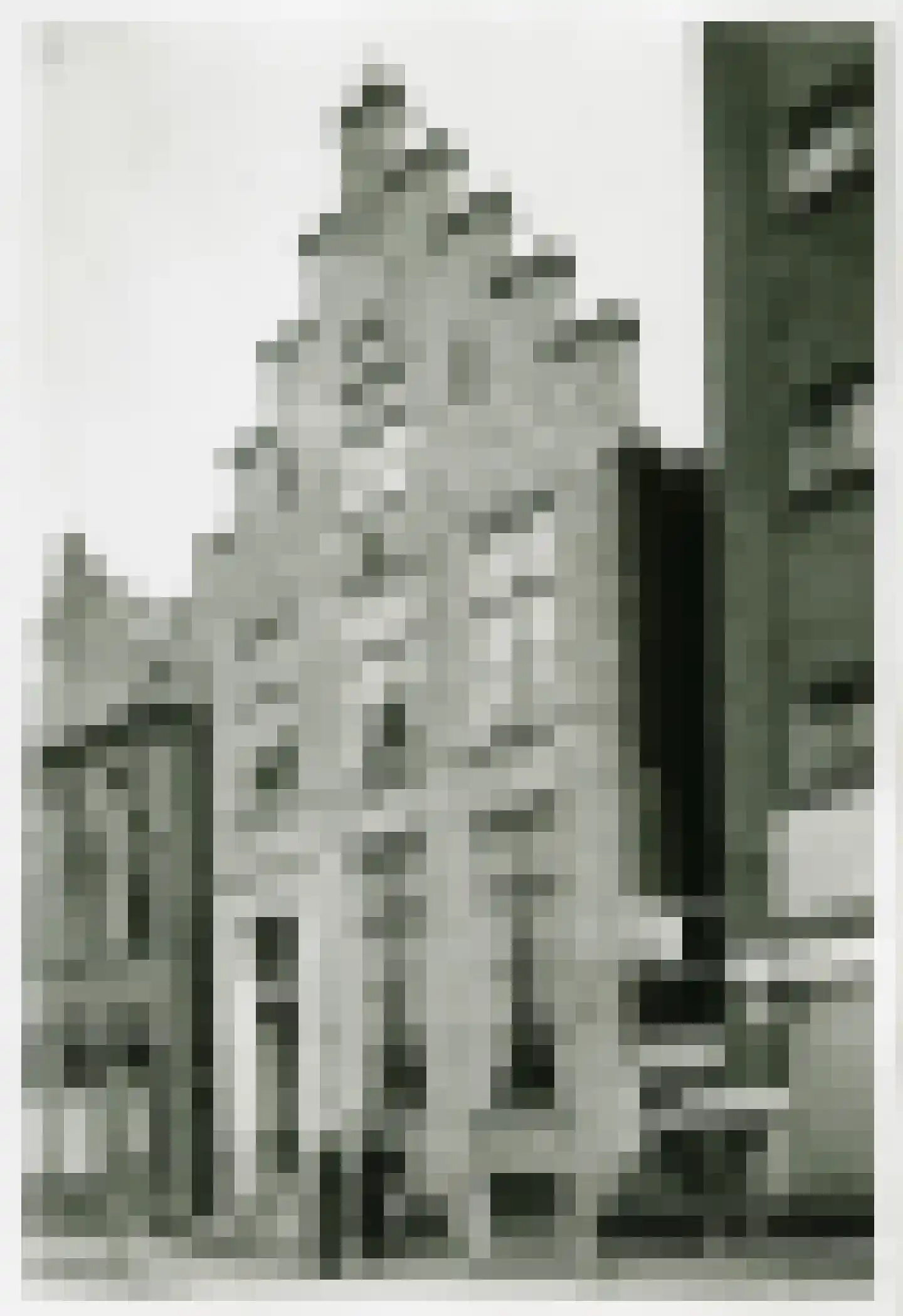 Haddingestraat 16 c Groningen thumbnail 10
