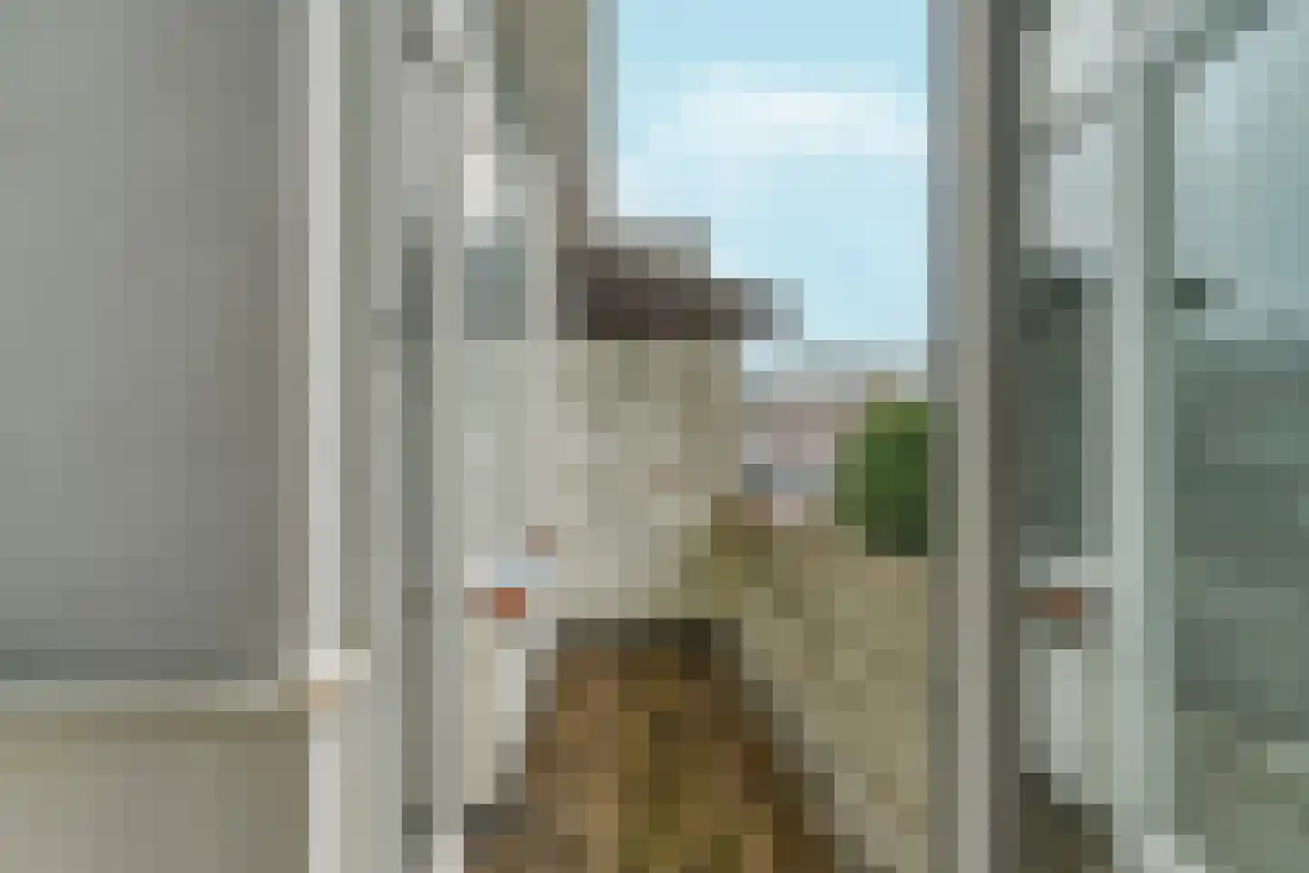 Hadewichstraat 21 Den Haag thumbnail 23