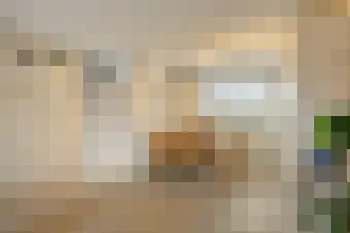 Hadewijchlaan 23 Pijnacker thumbnail 10