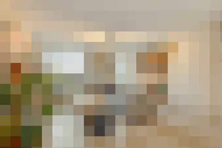 Hadewijchlaan 23 Pijnacker foto 2