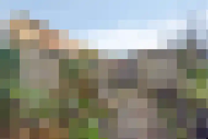 Hadewijchlaan 23 Pijnacker thumbnail 22