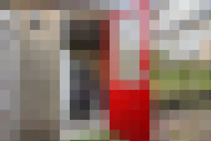 Hadewijchlaan 23 Pijnacker thumbnail 23