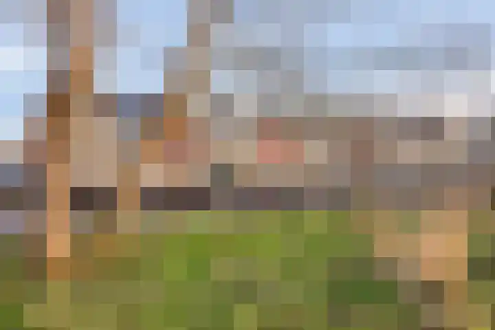 Hadewijchlaan 23 Pijnacker thumbnail 25