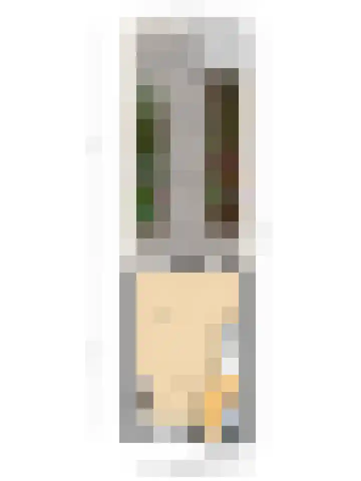 Hadewijchlaan 23 Pijnacker thumbnail 27