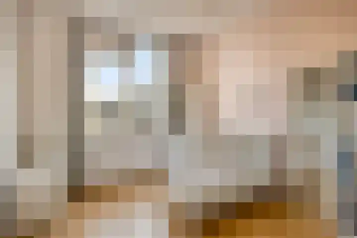 Hadewijchlaan 45 Pijnacker thumbnail 15