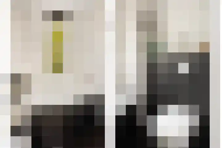 Hadewijchlaan 45 Pijnacker thumbnail 18