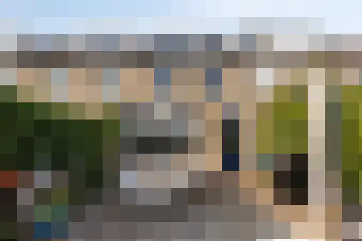 Hadewijchlaan 45 Pijnacker thumbnail 23