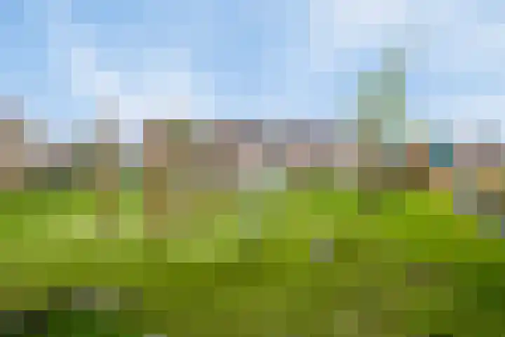 Hadewijchlaan 45 Pijnacker thumbnail 24