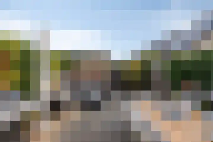 Hadewijchlaan 45 Pijnacker thumbnail 5