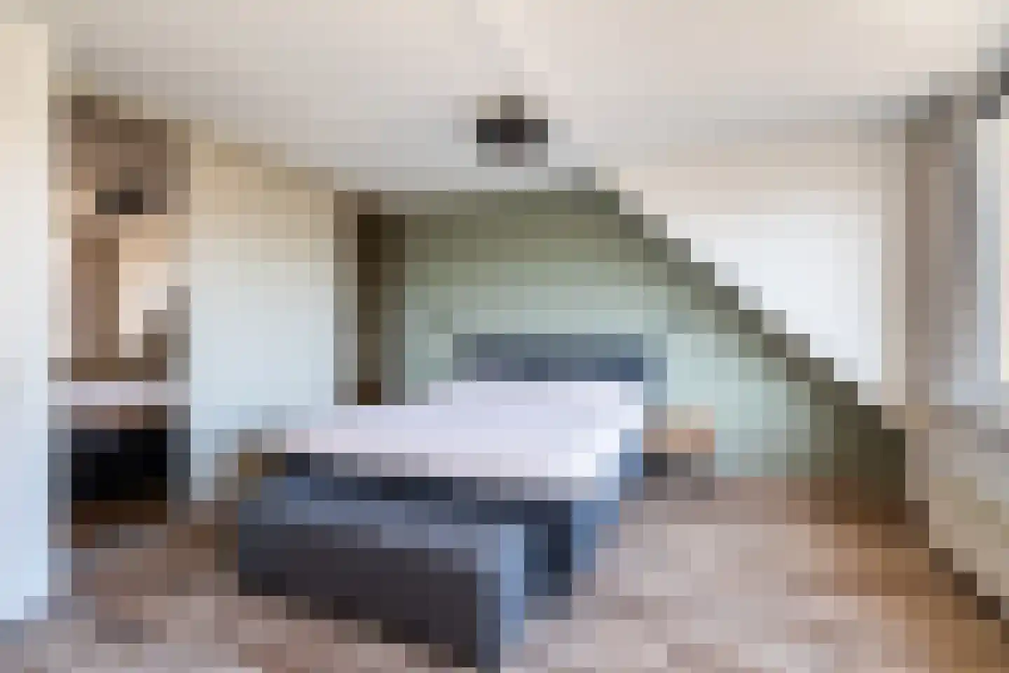Hadewijchlaan 5 Pijnacker thumbnail 20