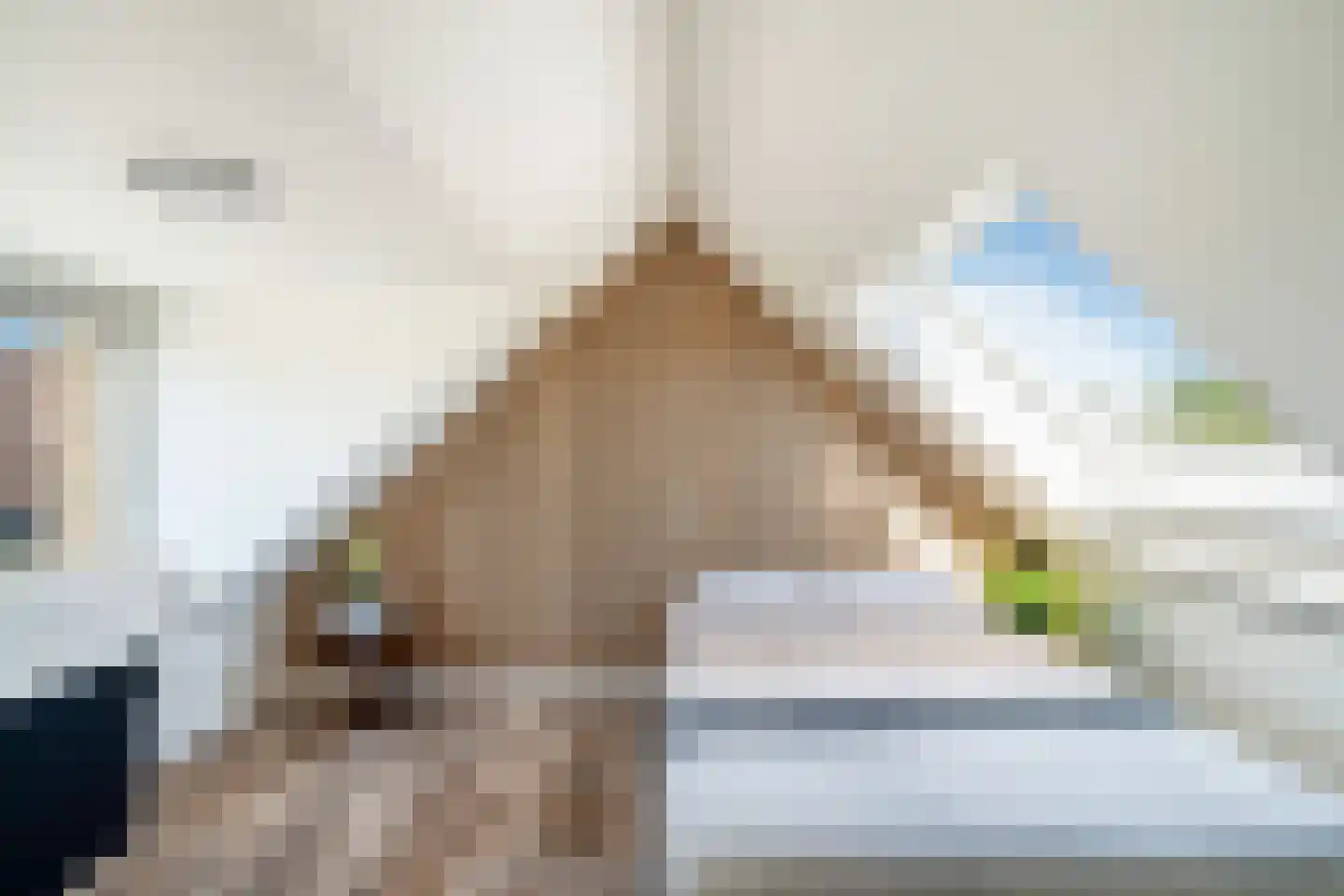Hadewijchlaan 5 Pijnacker thumbnail 26