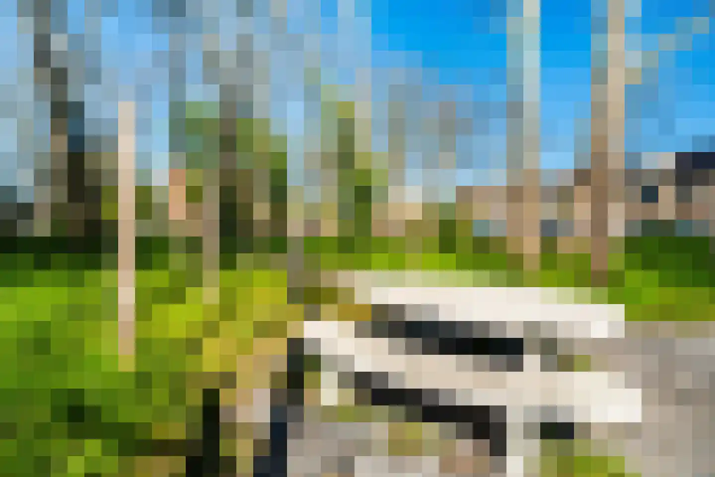Hadewijchlaan 5 Pijnacker thumbnail 34