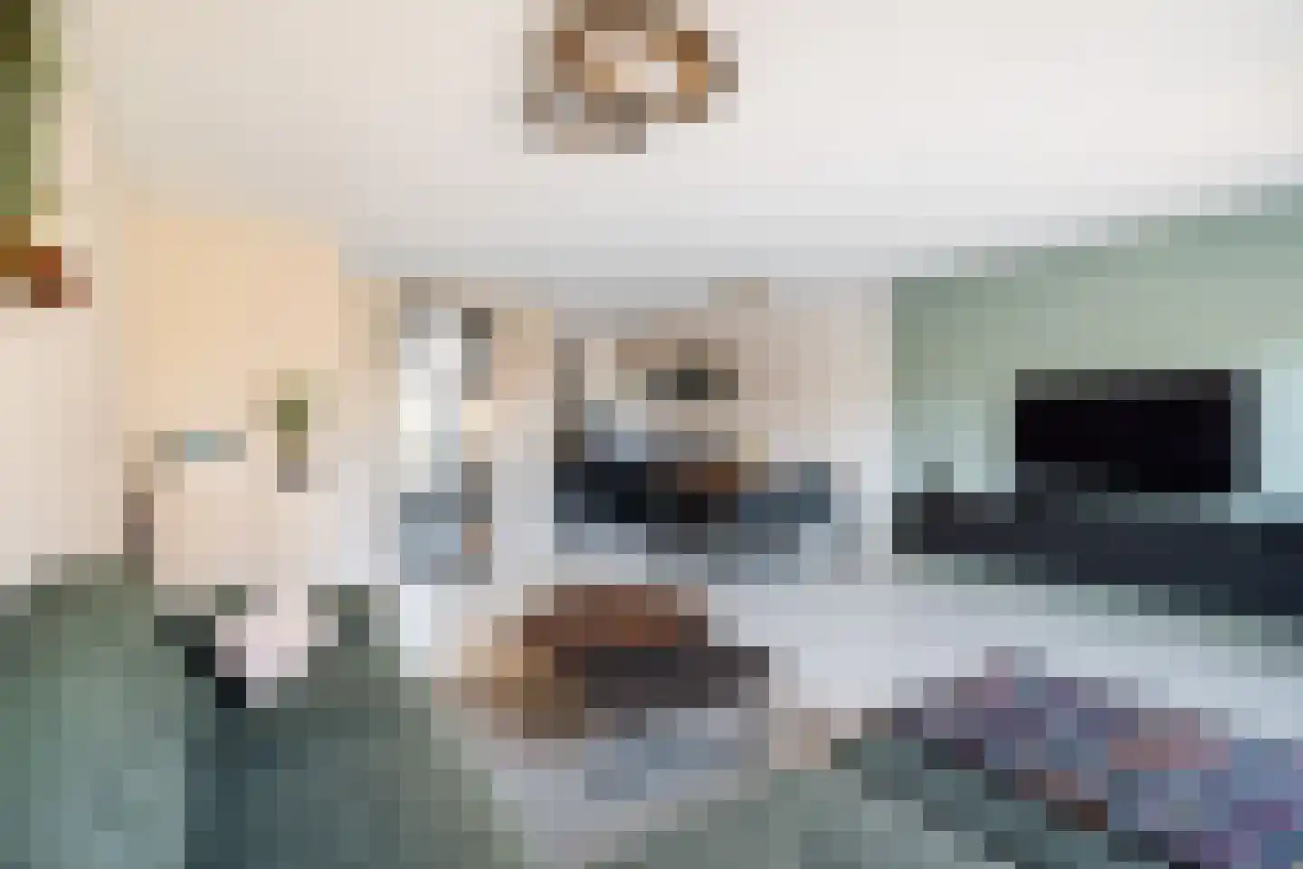 Hadewijchlaan 5 Pijnacker thumbnail 7