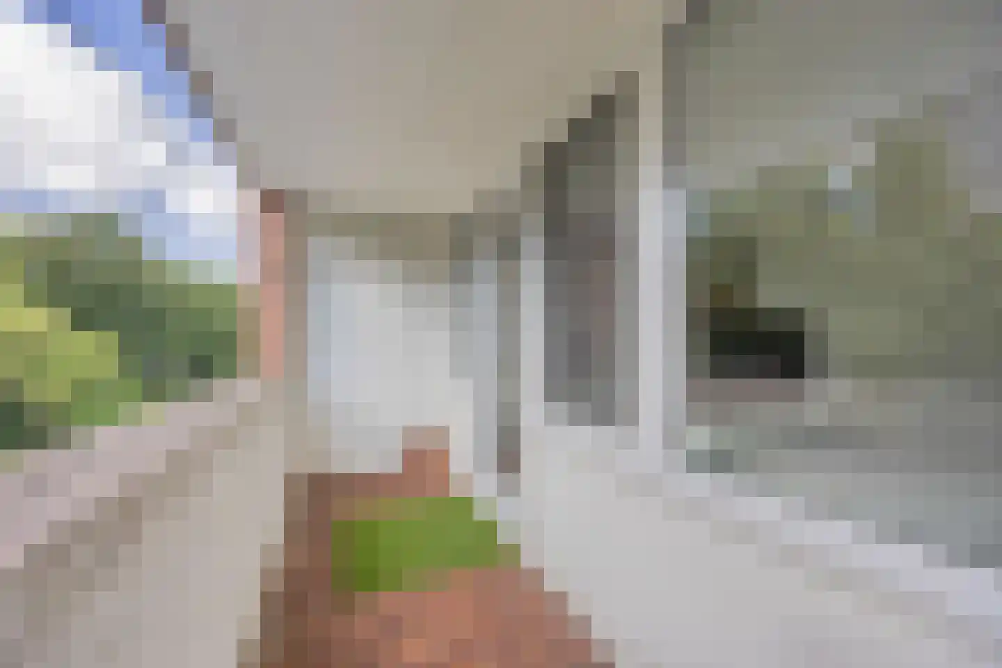 Hadewijchstraat 10 Haren Gn thumbnail 31
