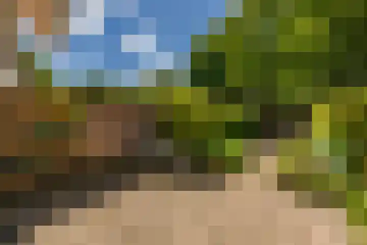 Hadewijchstraat 6 Haren Gn thumbnail 6