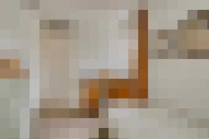 Hadewychlaan 1 Berkel-Enschot thumbnail 15