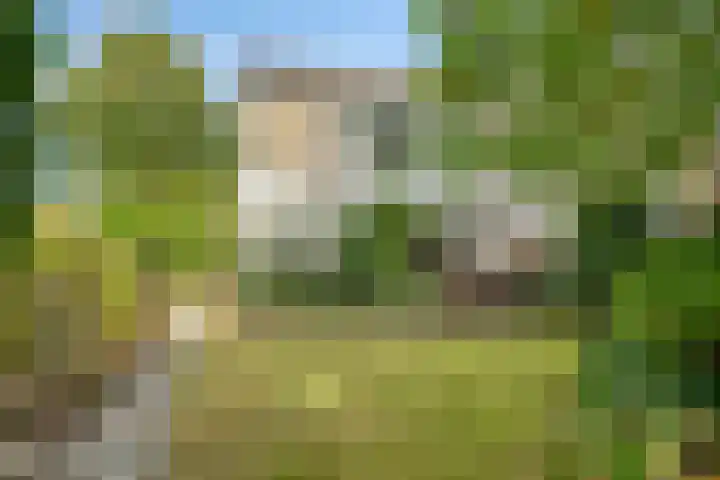 Hadewychlaan 1 Berkel-Enschot thumbnail 29