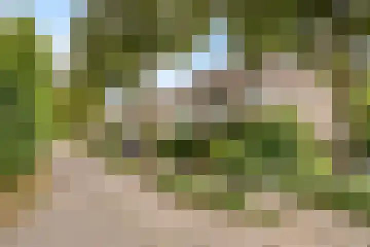 Hadewychlaan 1 Berkel-Enschot thumbnail 33