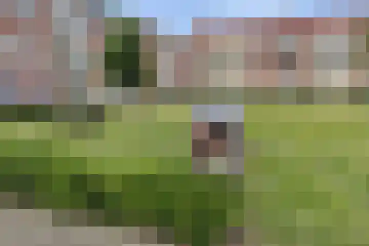 Hadewychstraat 128 's-Hertogenbosch thumbnail 21