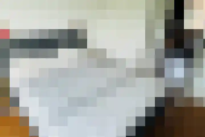 Hadewychstraat 128 's-Hertogenbosch thumbnail 7