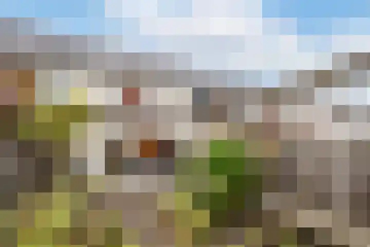 Hadewychstraat 18 Heesch thumbnail 19