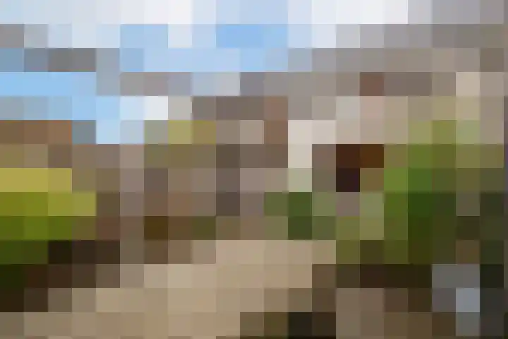 Hadewychstraat 18 Heesch thumbnail 20