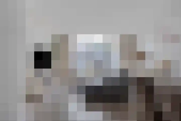 Hadewychstraat 32 Heesch thumbnail 13