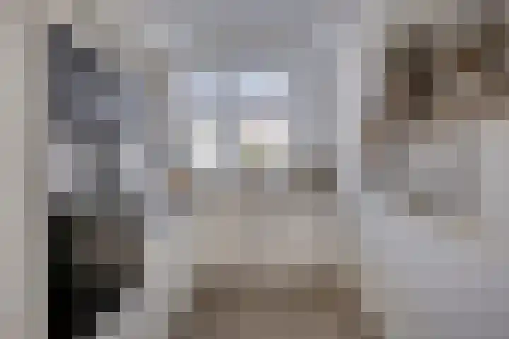 Hadewychstraat 32 Heesch thumbnail 23