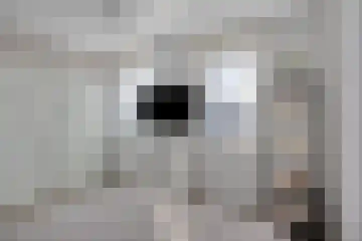 Hadewychstraat 32 Heesch thumbnail 28