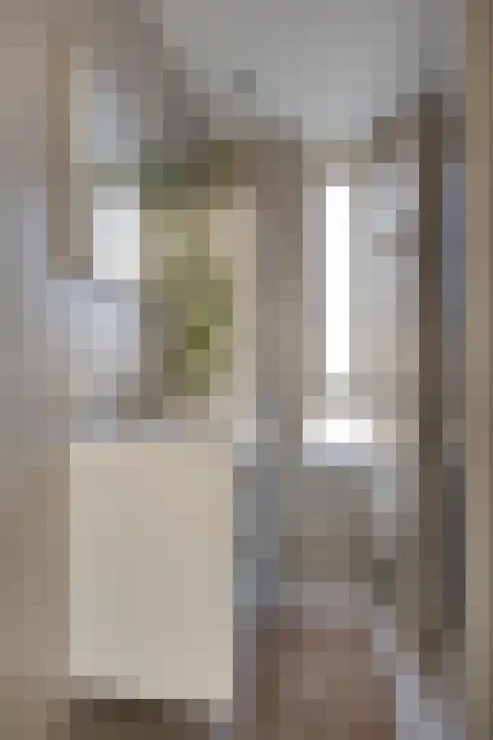 Hadewychstraat 32 Heesch thumbnail 32