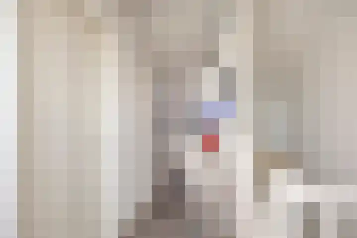 Hadewychstraat 32 Heesch thumbnail 36